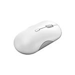 Lenovo 700 Multi-Device Wireless Silent Mouse Shel
