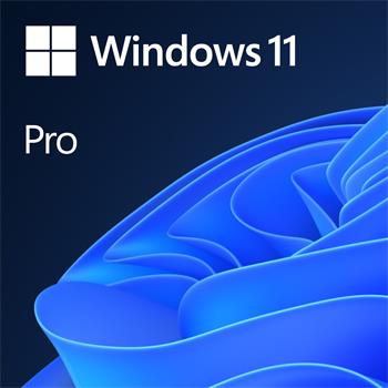 MS Windows 11 Professional 64-bit Slovak 1pk OEM DVD