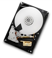 Western Digital Ultrastar® HDD 6TB (HUS726T6TALE6L4) DC HC310 3.5in 26.1MM 256MB 7200RPM SATA 512E SE (GOLD WD6002FRYZ)